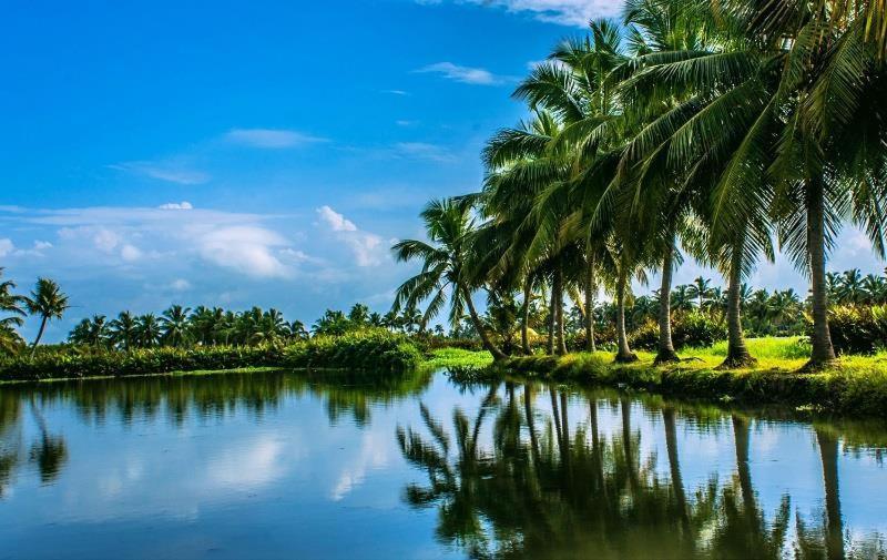 Alappuzha Golden Beach Home Stay מראה חיצוני תמונה