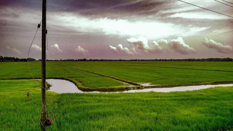 Alappuzha Golden Beach Home Stay מראה חיצוני תמונה